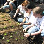 _thumbnail_Food-Garden-training-for-teenagers..jpg